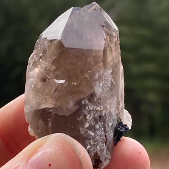 Smoky Quartz with Aegirine from Malawi, South Africa - Picture 7 of 15